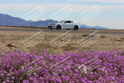 media/Jan-08-2023-SCCA SD (Sun) [[8f6a5b9391]]/Advanced Group/Session 2 (Short Straight)/